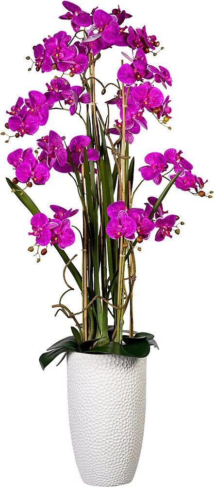 kaiserkraft Arreglo de Phalaenopsis, en jarrón de cerámica, altura aprox. 1600 mm, flores lilas