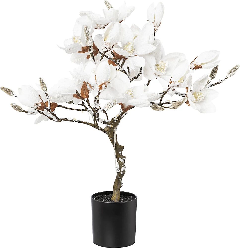 kaiserkraft Magnolio con LED, cubierto de nieve, en maceta de plástico, blanca, altura 580 mm, con 20 LED