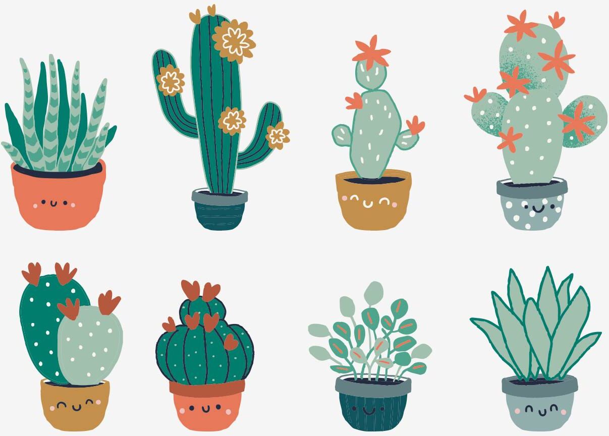 VERTBAUDET 8 adhesivos grandes Cactus verde medio liso con motivos