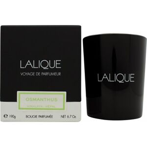 Lalique Candle 190g - Osmanthus Himalaya