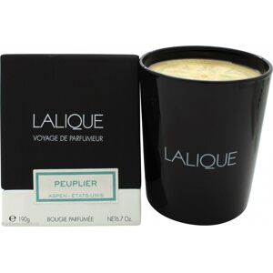 Lalique Candle 190g - Peuplier Aspen