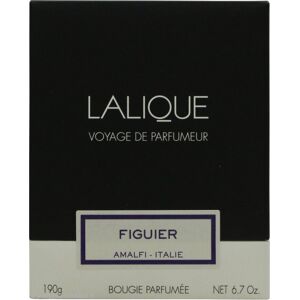 Lalique Candle 190g - Figuier Amalfi