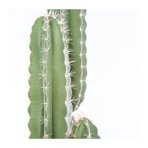 ATMOSPHERA Plante artificielle Cactus Pin dans son pot H 185 cm - Publicité