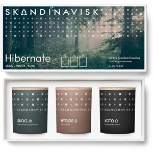 Skandinavisk SR ApS Skandinavisk - Set de bougies Mini, Hibernate (set de 3)