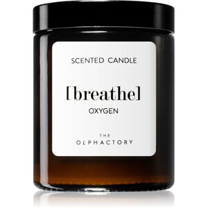 Ambientair The Olphactory Oxygen bougie parfumée (brown) Breathe 135 g