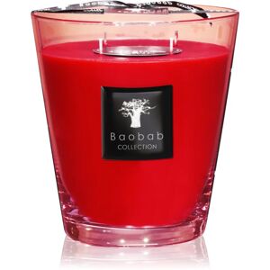 Baobab Collection All Seasons Masaai Spirit bougie parfumée 16 cm