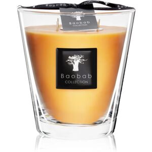 Baobab Collection All Seasons Zanzibar Spices bougie parfumée 16 cm