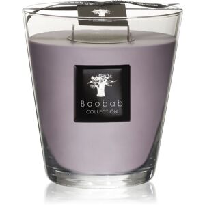 Baobab Collection All Seasons White Rhino bougie parfumée 16 cm
