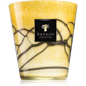 Baobab Collection Filo Oro bougie parfumée 16 cm