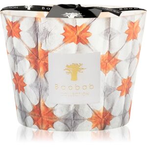 Baobab Collection Odyssée Calypso bougie parfumée 10 cm