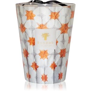 Baobab Collection Odyssée Calypso bougie parfumée 24 cm