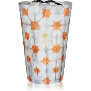 Baobab Collection Odyssee Calypso bougie parfumee 35 cm