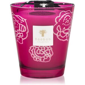 Baobab Collection Collectible Roses Burgundy bougie parfumée 16 cm