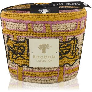 Baobab Collection Frida Draozy Diego bougie parfumée 10 cm