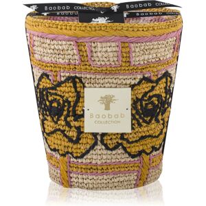 Baobab Collection Frida Draozy Diego bougie parfumée 16 cm