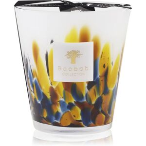 Baobab Collection Rainforest Mayumbe bougie parfumée 16 cm