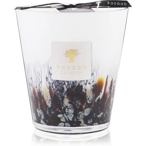 Baobab Collection Rainforest Tanjung bougie parfumée 16 cm