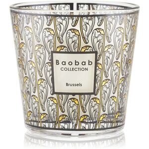 Baobab Collection My First Baobab Brussels bougie parfumée 8 cm