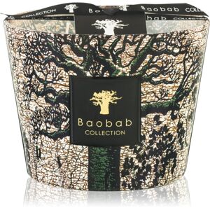 Baobab Collection Sacred Trees Kani bougie parfumée 10 cm