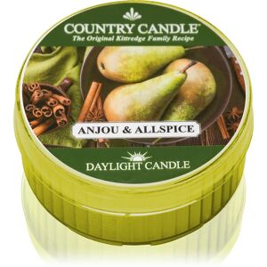Country Candle Anjou & Allspice bougie chauffe-plat 42 g