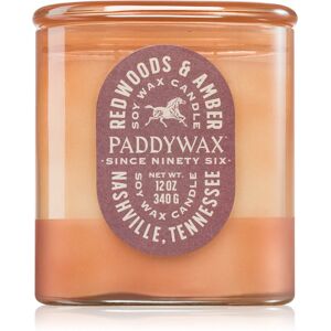 Paddywax Vista Redwoods Amber bougie parfumee 340 g