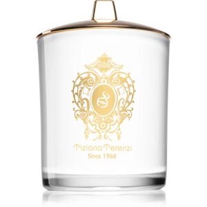 Tiziana Terenzi Arethusa bougie parfumée avec mèche en bois 500 g