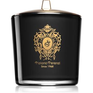 Tiziana Terenzi Ecstasy bougie parfumée avec mèche en bois 500 g