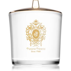 Tiziana Terenzi White Fire bougie parfumée avec mèche en bois 500 g