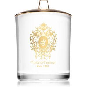 Tiziana Terenzi White Fire bougie parfumée avec mèche en bois 900 g