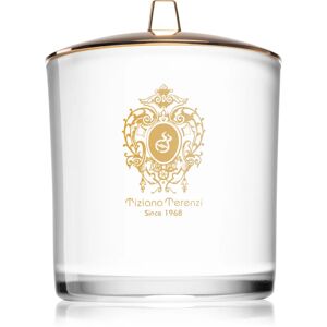 Tiziana Terenzi Lillipur bougie parfumée avec mèche en bois 900 g