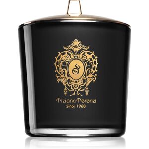 Tiziana Terenzi Black Fire bougie parfumée avec mèche en bois 500 g