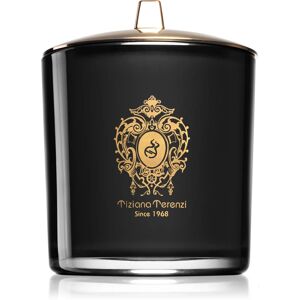 Tiziana Terenzi Ebony & Teck bougie parfumée avec mèche en bois 900 g