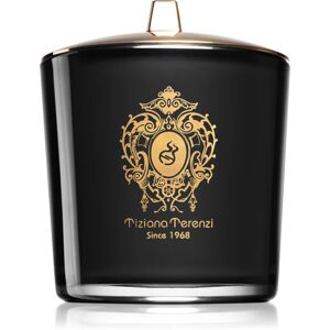 Tiziana Terenzi Capri Fig bougie parfumée avec mèche en bois 500 g