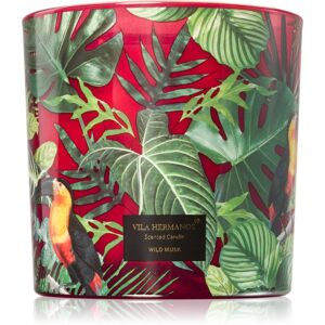 Vila Hermanos Jungletopia Wild Musk bougie parfumée 620 g