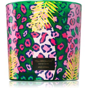 Vila Hermanos Jungletopia Spicy Cypriol bougie parfumée 620 g