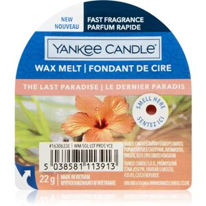 Yankee Candle The Last Paradise tartelette en cire 22 g