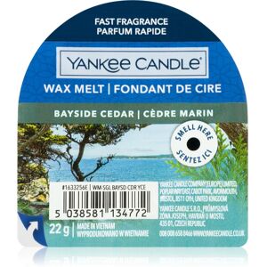 Yankee Candle Bayside Cedar tartelette en cire 22 g