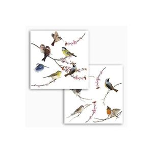 Komar ' Window Stickers pour"Birds, 1 pièce, multicolore, 16003 - Publicité