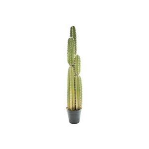ATMOSPHERA Cactus pin de décoration - Vert - H 185 cm - Collection Precious loft - Publicité