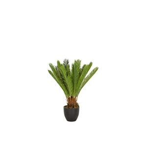 hjh OFFICE Plante artificielle / Palmier artificiel CYCAS Plastique Vert - Publicité