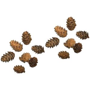 UKCOCO 100 Pièces Petite Pomme De Pin Étiquette Cadeau Récolte Automne Pommes De Pin Artisanat De Pomme De Pin Automne Pommes De Pin Pendentif Arbre De Noël Artisanat en Vrac Accessoires - Publicité