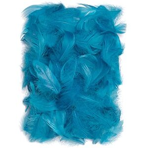 Netuno 150 pièces Turquoise Plumes décoratives 10g Plumes duveteuses décoratives d'oiseaux Naturelles pour DIY Bricolage Décoration Pâques Noël Figure décorative Loisirs créatifs Mariage - Publicité