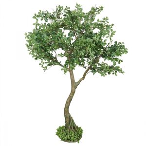 Ligne Deco Schefflera luseana bonsaï artificiel 190cm Vert 0x190cm