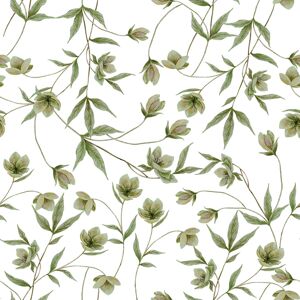 Lilipinso Papier peint hellebores vert Vert 1000x0x50cm