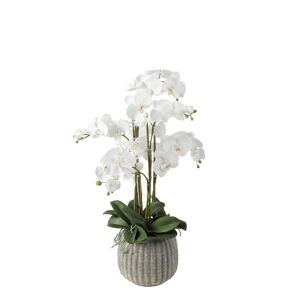 Sia Deco Orchidee artificielle en pot blanche H85