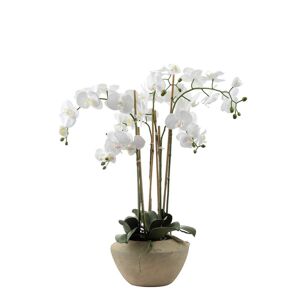 Sia Deco Composition d'orchidee artificielle blanche H86