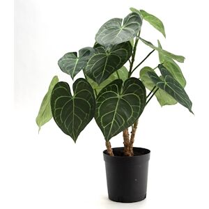 Anthurium Clarinervium 61 cm -  Vert  Plastique Lou De Castellane 0.01x0.01 cm