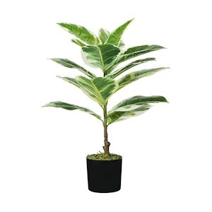 King Home Ficus Elastica plante en polyéthylène 15 feuilles vertes