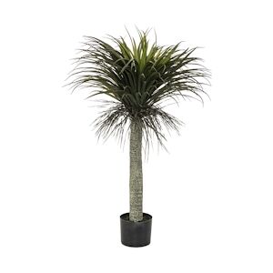 Atmosphera Plante artificielle Yucca en pot H 150 cm - Publicité