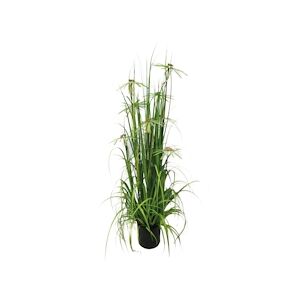 NOW'S HOME - Plante Graminee A Fleurs Artificielle 20x17x150 Cm Aquaplanter